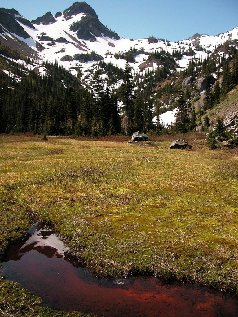 Olympic National Park