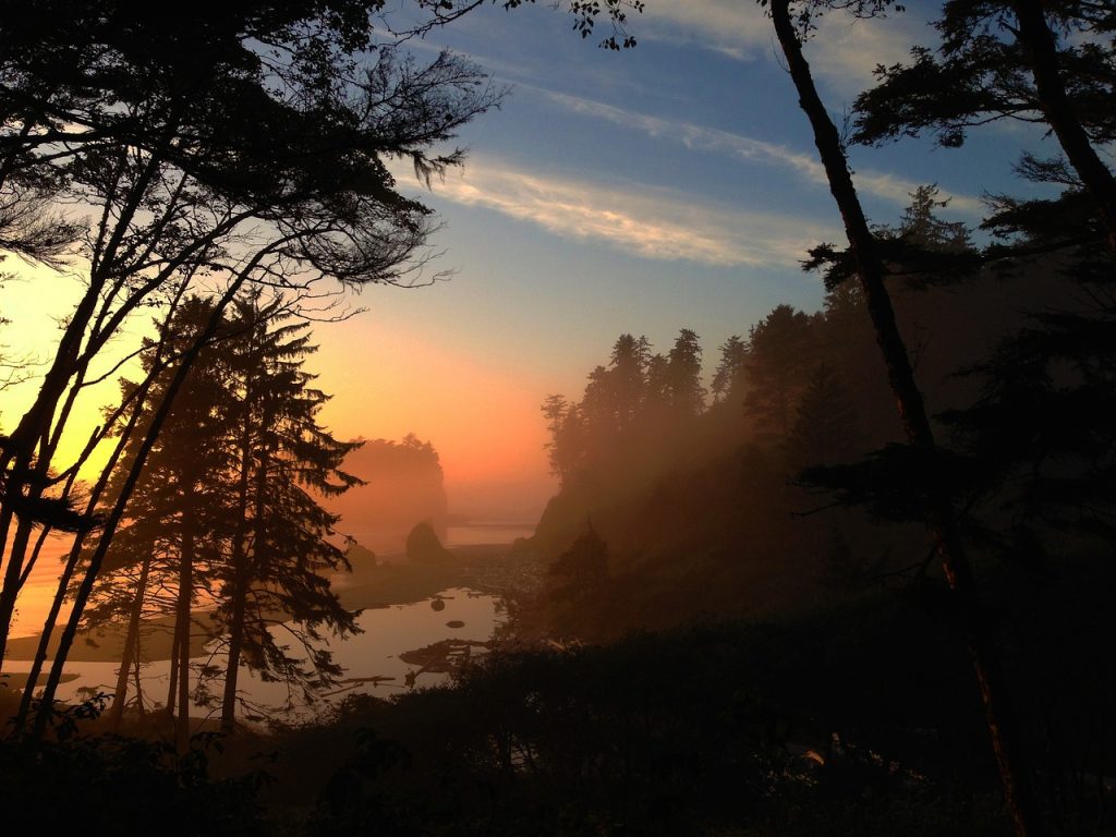 Olympic National Park